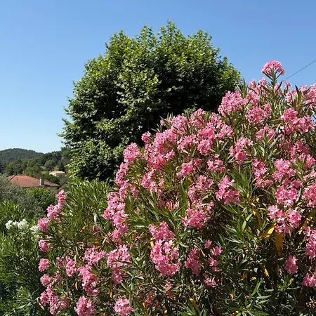 La Joannassiene, Maison Ardechoise De Caractere 度假居